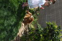 Easter_2012__2813429.JPG