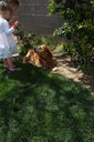 Easter_2012__2813729.JPG