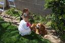 Easter_2012__2814029.JPG