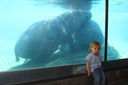Filename=IMG_8854.JPG
Filesize=266KiB
Dimensions=2048x1365
Date added=May 18, 2023 IMG_8854.JPG