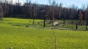 Filename=20210531_115910.jpg
Filesize=1615KiB
Dimensions=2048x1152
Date added=Jul 01, 2023 20210531_115910.jpg